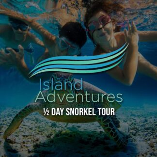 New Horizons & Breakaway Charters – 1/2 Day Snorkel Tour (Midday Snorkel Tour from Margaritaville Resort)