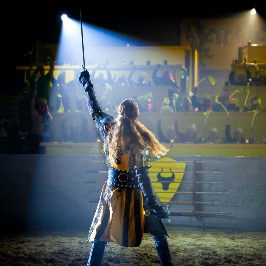 Medieval Times Dinner & Tournament - Orlando - Image 4