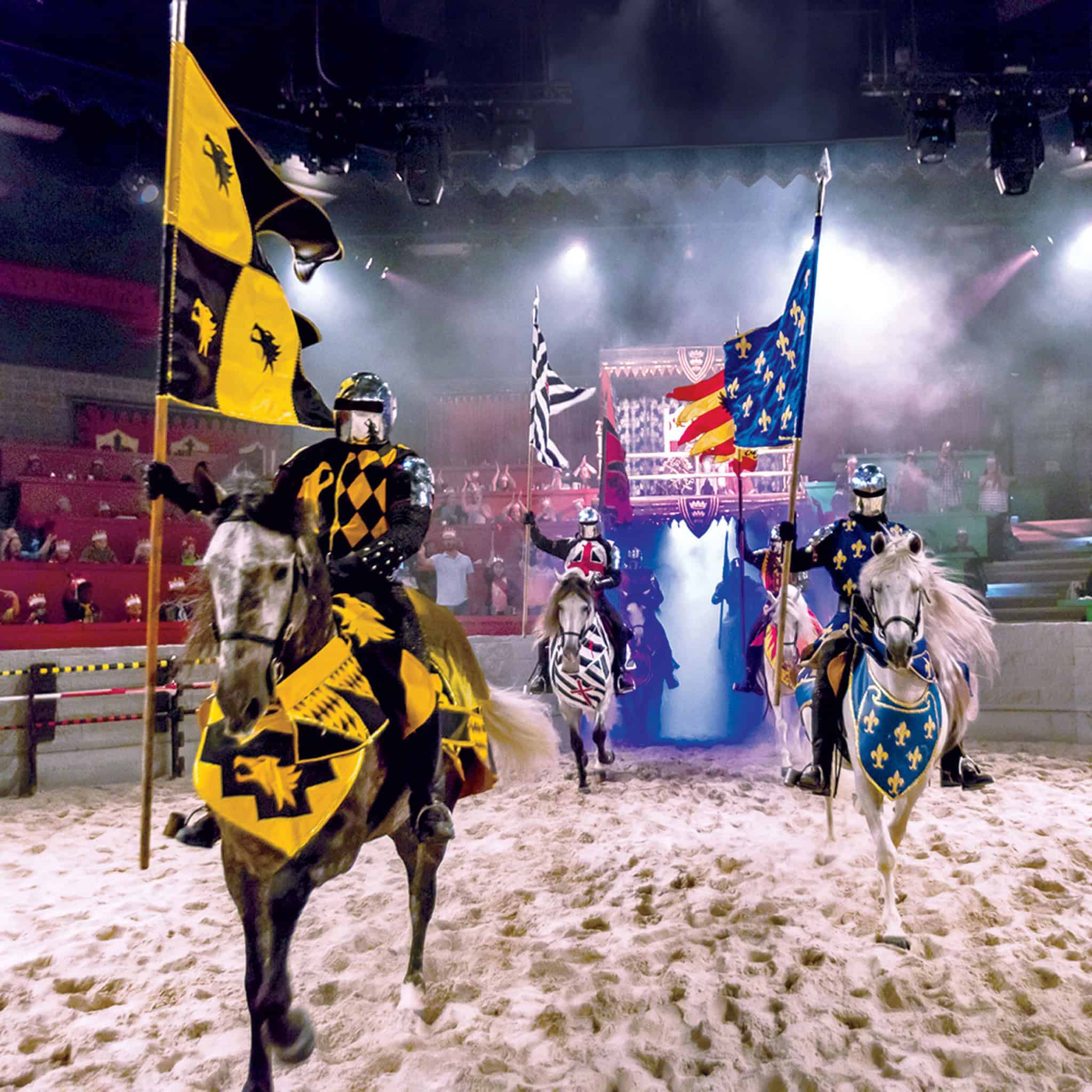 Medieval Times Dinner & Tournament - Orlando - Image 3