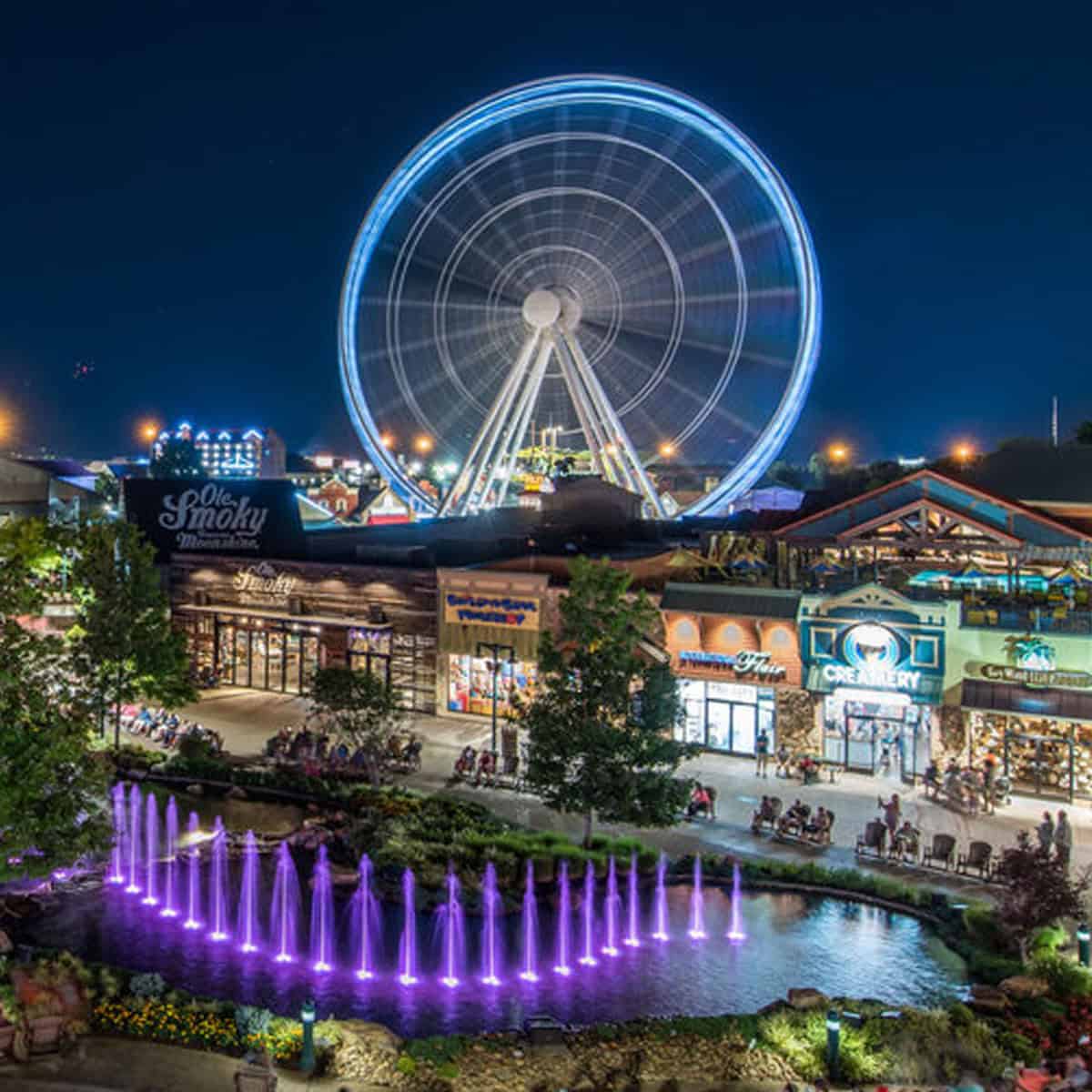 Smoky Mtn Observation Wheel (SMOWL) - Image 2