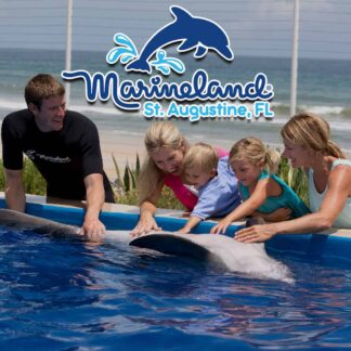 Marineland Dolphin Adventure