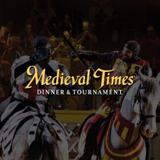 Medieval Times Dinner & Tournament - Orlando