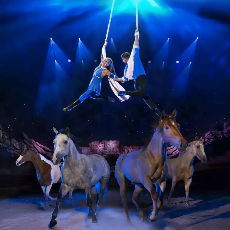 Dolly Parton's Stampede - Pigeon Forge - Image 3